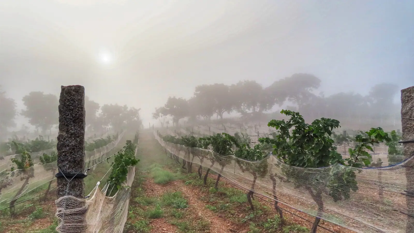 about-us-krsma-image-03