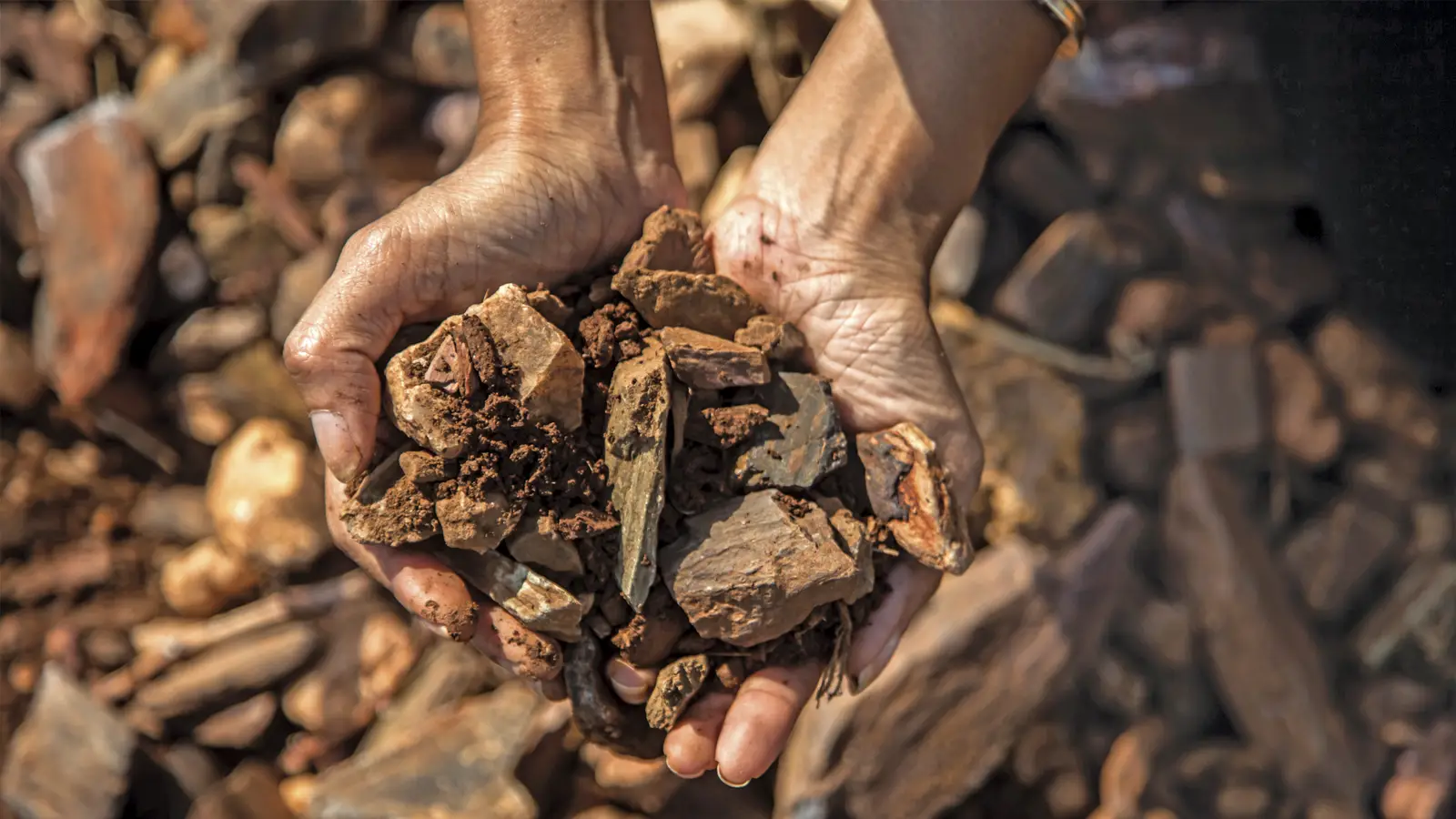 about-us-krsma-image-07