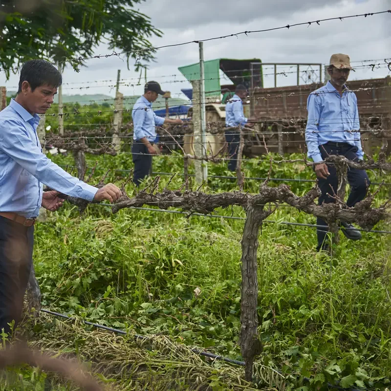 about-us-krsma-image-02